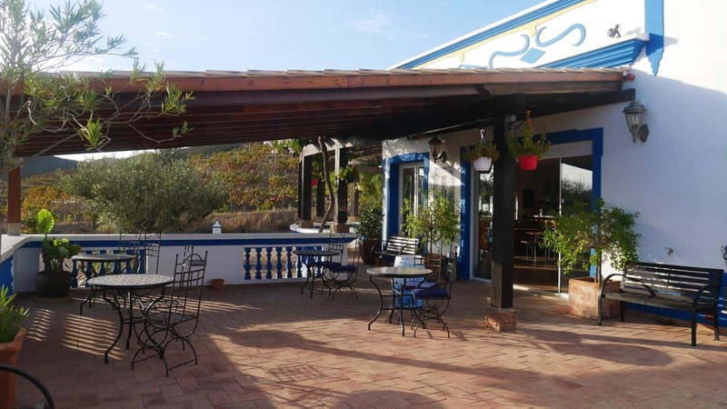 Albufeira, Olhão, Faro: visit to a vineyard, free time in Silves - Final Thoughts