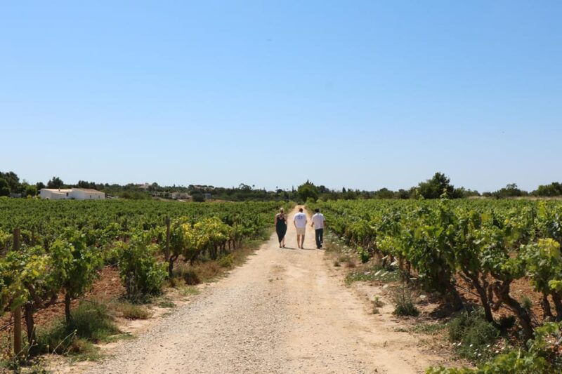 Albufeira/Porches/Vilamoura: Wine Tasting with Tapas & Music - Final Thoughts: Is This Tour for You?