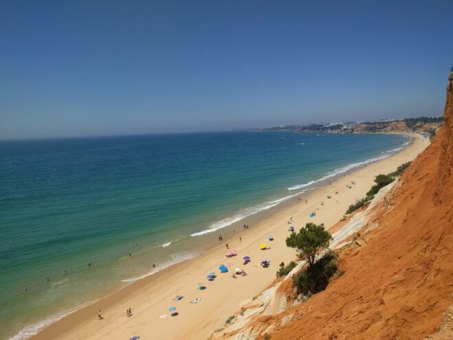 Albufeira: Private Tuk-Tuk Tour - Booking Information