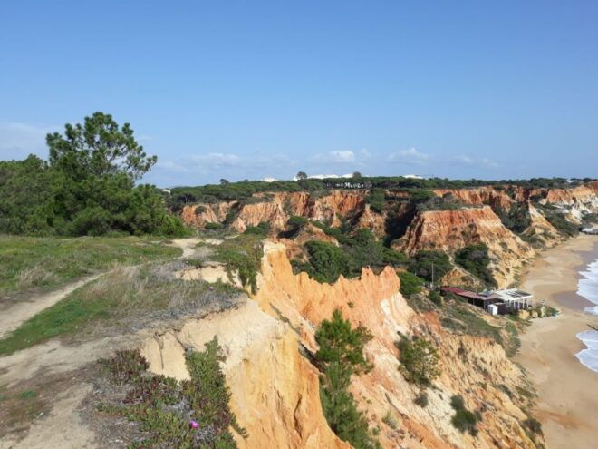 Albufeira Sightseeing in a Tuk Tuk - Unique Experience - Additional Information