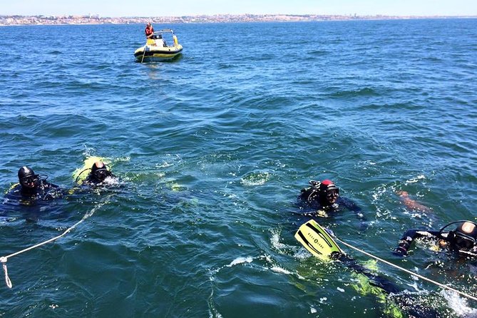 Albufeira Small-Group Certified Dive - Overview and Experience