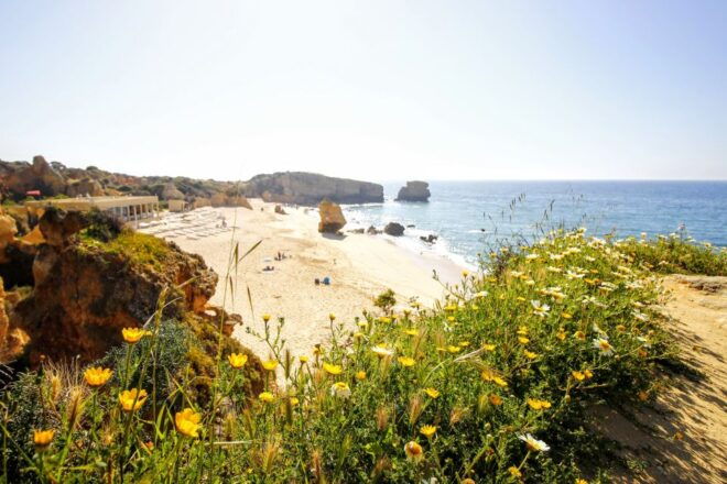 Albufeira: Tuk Tuk Ride With Old Town and Beaches - What to Bring