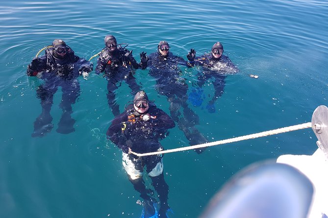 Albufeira Two-Dive Trip for Certified Divers - Inclusions and Exclusions