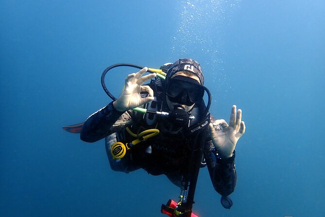 Albufeira Two-Dive Trip for Certified Divers - The Sum Up