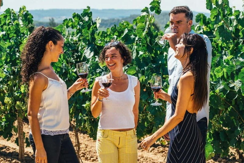 Albufeira: Wine Tasting Tour with Castle and Windmill Visit - What to Expect from the Tour