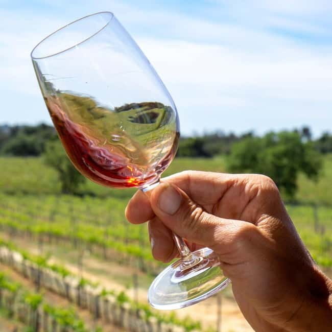 Albufeira: Wine Tasting Tour with Castle and Windmill Visit - Practical Tips for Your Tour