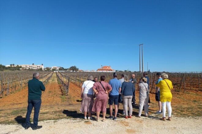 Albufeira: Winery Tour With Tapas Boards - Trip to Local Winery With Tasting