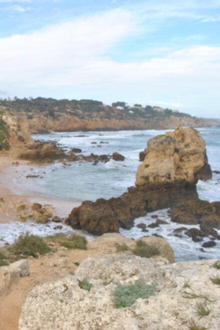 Albufeiras Best Beaches Tour - Tour Highlights