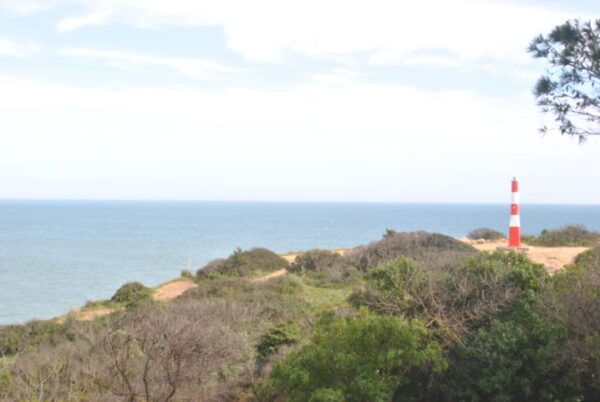 Albufeiras Best Beaches Tour - How to Book Your Tour