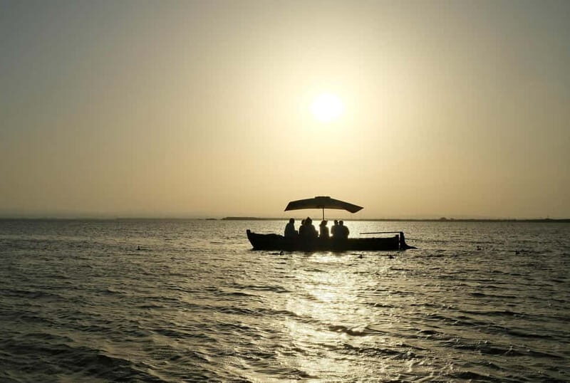 Albufera Bike Adventure: Wetlands, Beaches & Biodiversity - Good To Know