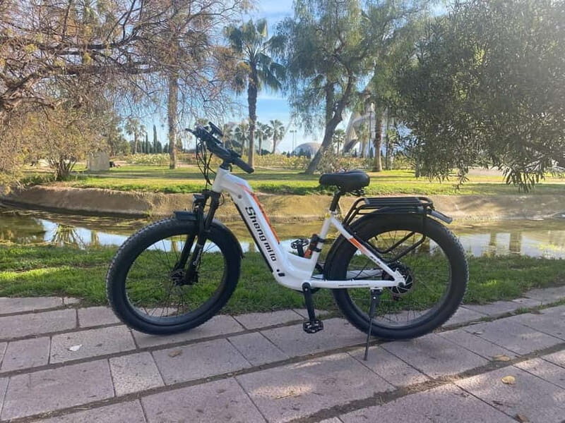 Albufera Bike Adventure: Wetlands, Beaches & Biodiversity - A Close Look at the Itinerary and What You Can Expect