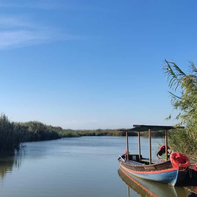 Albufera de Valencia: boat ride and visit to a barraca - Discovering Albufera de Valencia: What to Expect