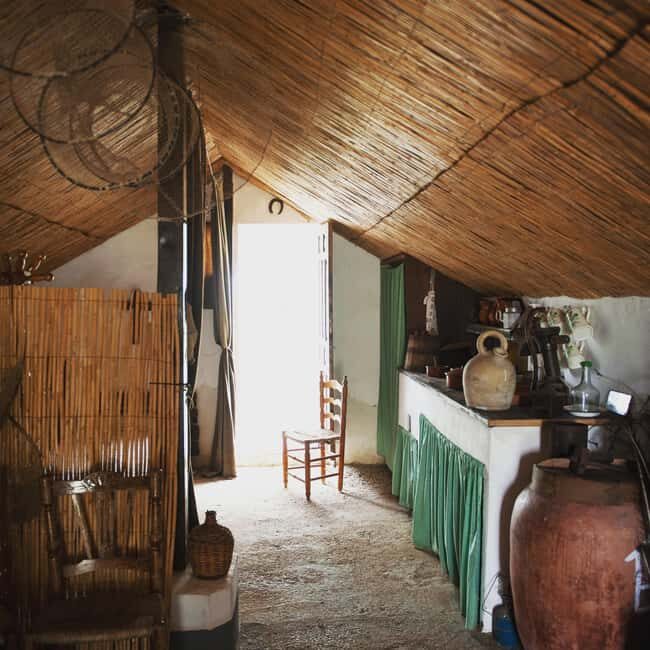 Albufera de Valencia: boat ride and visit to a barraca - Summing Up: Is It Worth It?