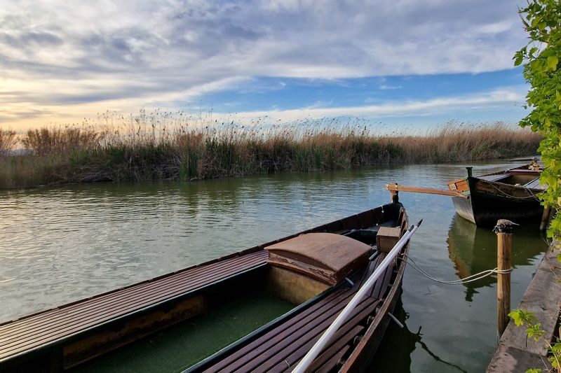 Albufera Natural Park Day Tour from Valencia - Key points before you book