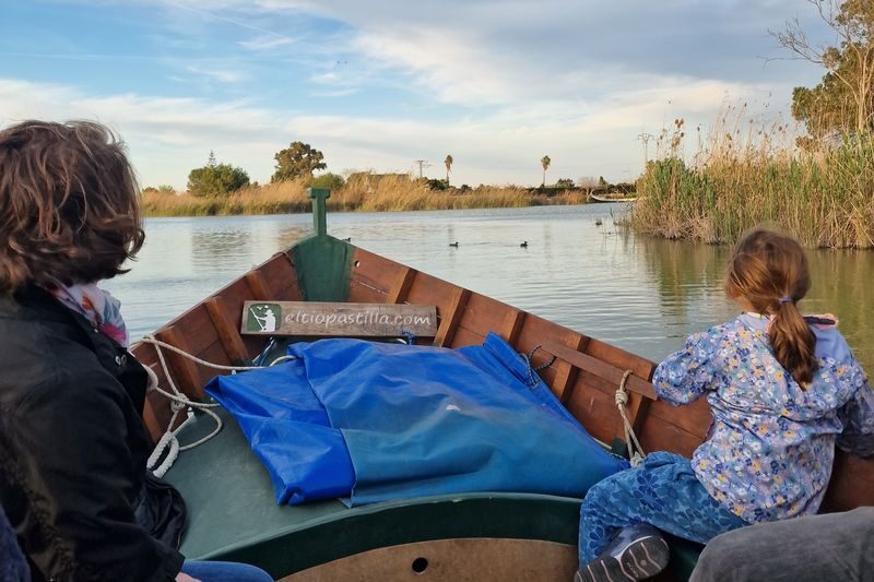 Albufera Natural Park Day Tour from Valencia - El Palmar and the lagoon’s fishing traditions