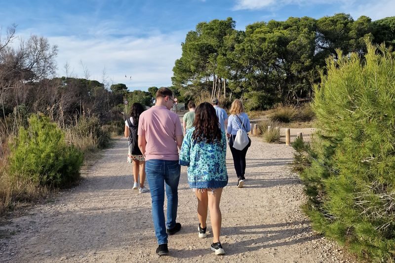 Albufera Natural Park Day Tour from Valencia - A walk beside the water before the cruise