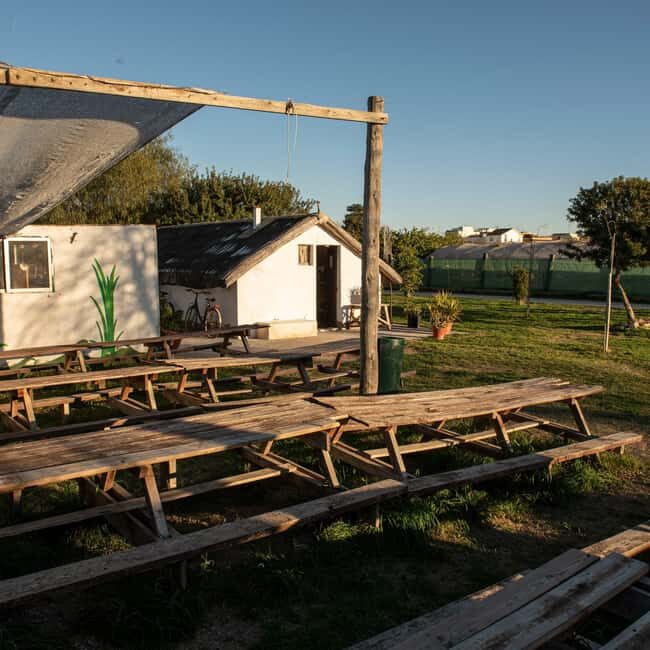 Albufera: Sunset and visit to the barraca - Introduction