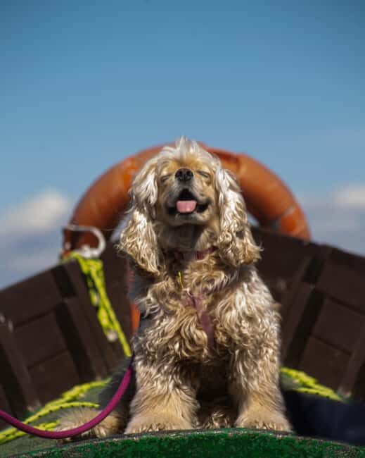 Albufera: Sunset and visit to the barraca - Good To Know