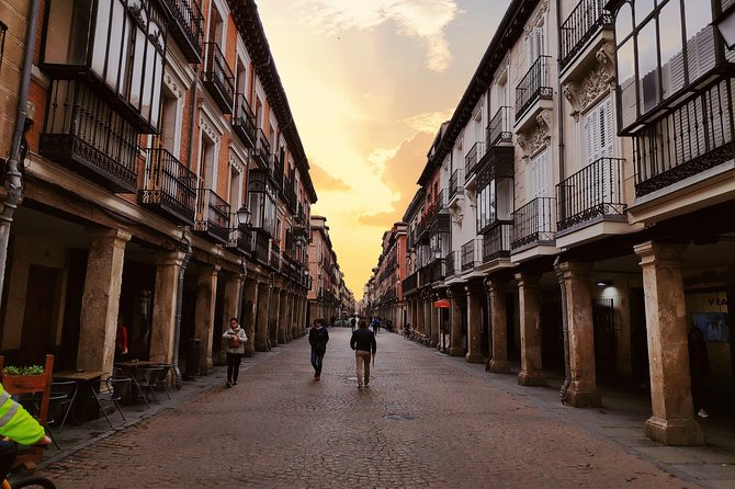 Alcala De Henares and Cervantes Guided Tour From Madrid - Tour Highlights