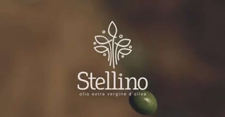 Alcamo: Tenuta Stellino Vineyard and Olive Grove Tour - Good To Know
