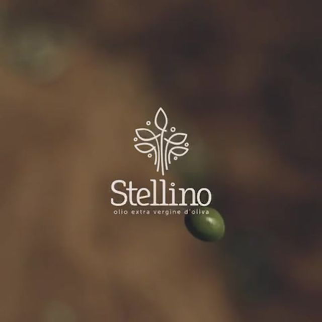 Alcamo: Tenuta Stellino Vineyard and Olive Grove Tour - Tour Details