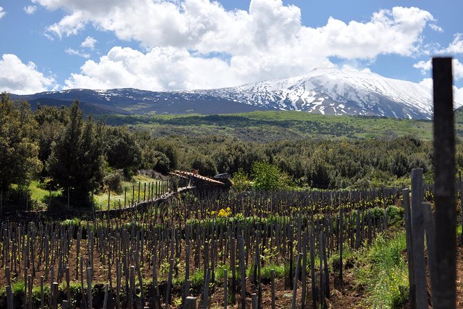 Alcantara Food & Wine Day Tour (Private Experience) - Tour Highlights