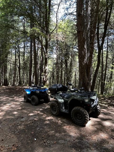 Alcantara: Valley and Gurne Dell'alcantara ATV Adventure - Good To Know