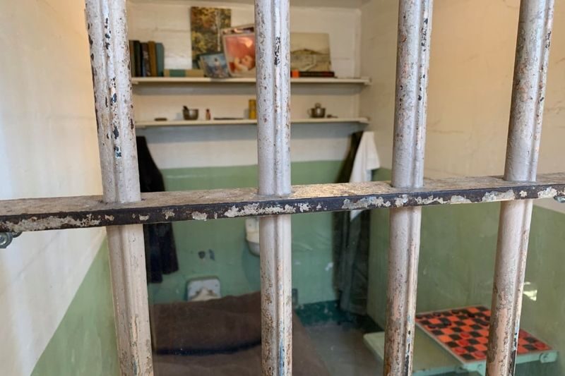 Alcatraz Island with City Tour, Muir Woods, or Bay Cruise - Circling Alcatraz without stepping ashore