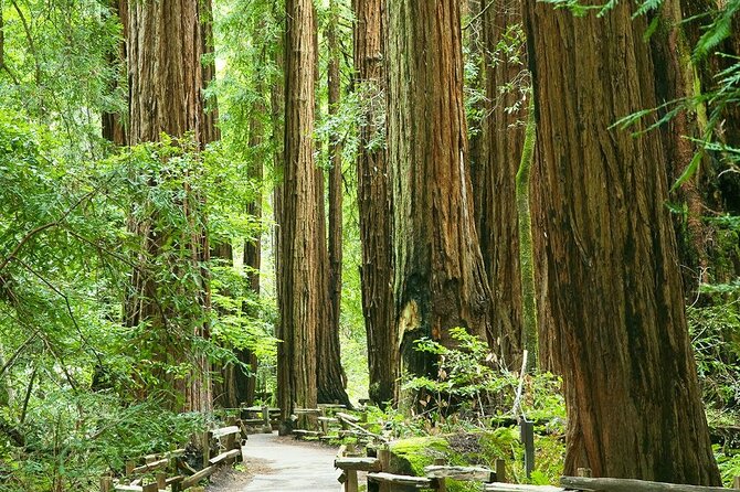 Alcatraz Muir Woods Sausalito Express With Brunch - Cancellation of Activities