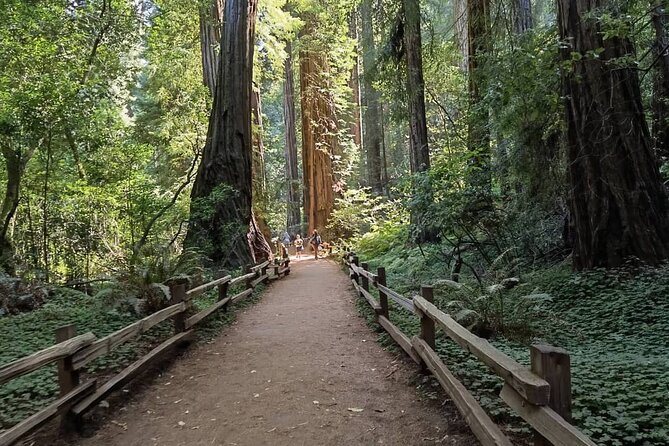 Alcatraz Plus Muir Woods & Sausalito Combo Tour - Reviews and Ratings From Previous Customers