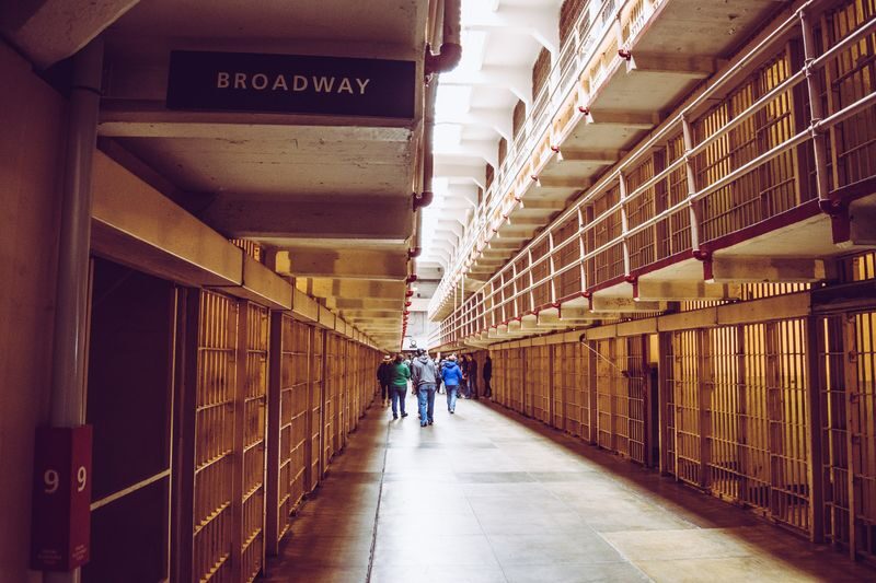 Alcatraz Ticket & Ferry with North Beach Guided Walking Tour - Sea lions at Pier 39