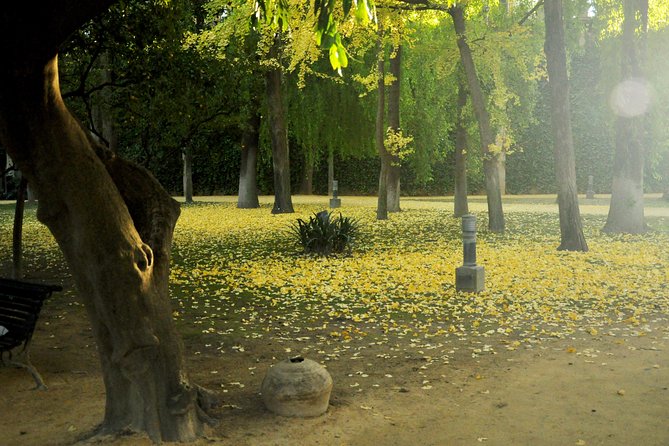 Alcazar and Cathedral Combo Tour - Ticket Information