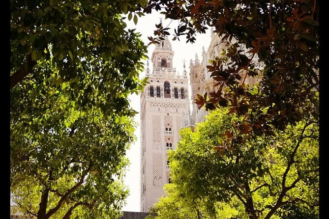 Alcazar and Cathedral of Seville Private Tour - Price and Additional Information