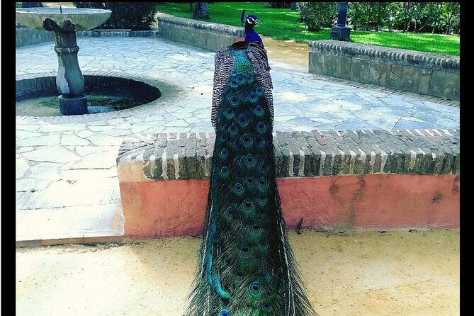 Alcazar and Cathedral of Seville Private Tour - The Sum Up