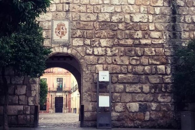 Alcazar, Cathedral And Santa Cruz Private Tour - Tour Overview