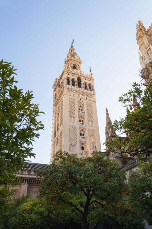 Alcazar, Cathedral of Seville and Giralda Day Tour - The Alcázar: palace rooms, intricate details and gardens