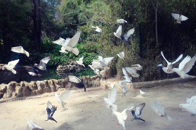 Alcazar, Cathedral, Plaza De España And Maria Luisa Park Private Tour - Tour Overview