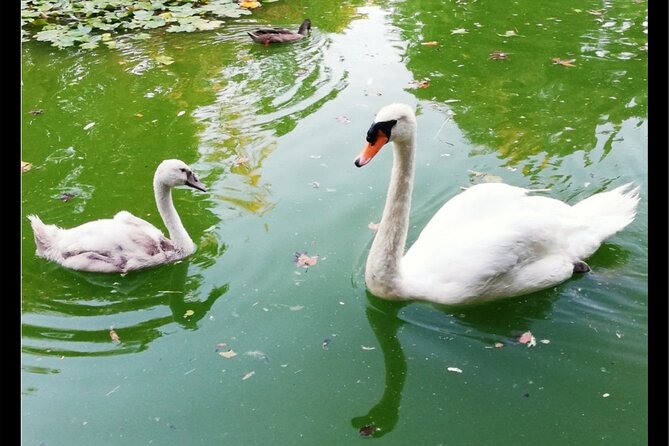 Alcazar, Cathedral, Plaza De España And Maria Luisa Park Private Tour - Questions and Pricing