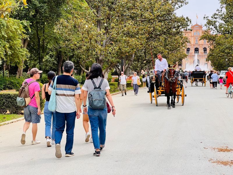 Alcazar & Highlights of Seville Day Tour - The Alcázar: the included ticket and your own time