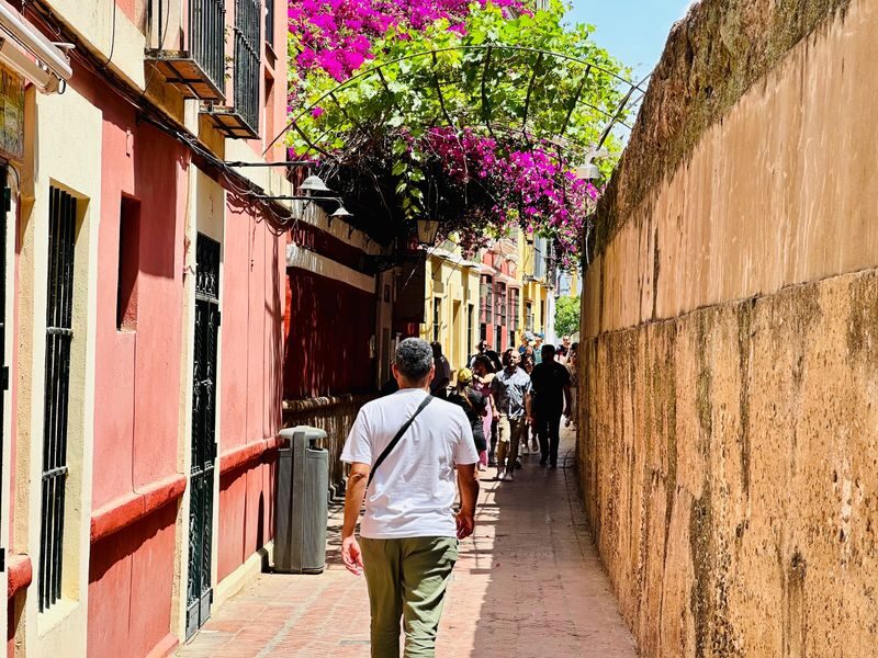 Alcazar & Highlights of Seville Day Tour - Should you book this Seville tour?