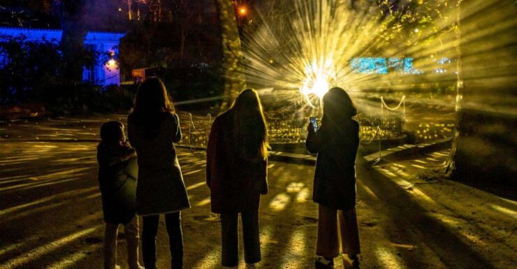 Alcázar of Seville: Naturaleza Encendida Light Show Ticket - Ticket Information