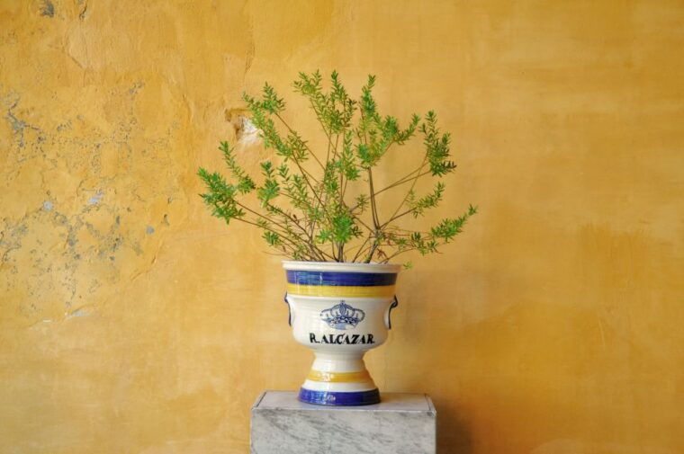 Alcázar of Seville Skip-the-Line Tickets and Guided Tour - Historical Significance and Highlights