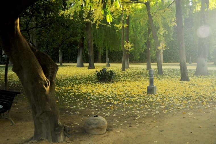 Alcázar of Seville Skip-the-Line Tickets and Guided Tour - Customer Reviews and Ratings