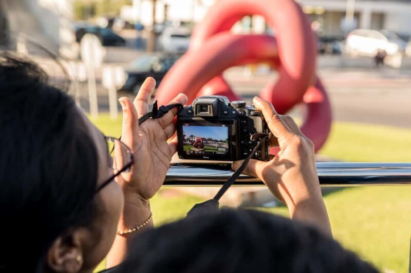 Alcudia: ALCUDIA City TOUR Open Top Bus, open-top bus tour - Final Thoughts