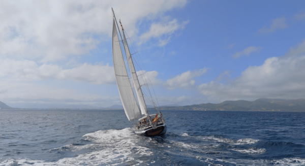 Alcudia: Amazing Full Day Sailing Experience (F&B Incl.) - Sailing Itinerary and Activities