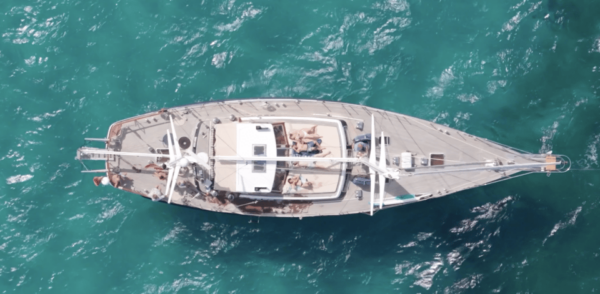 Alcudia: Amazing Full Day Sailing Experience (F&B Incl.) - Restrictions and Amenities
