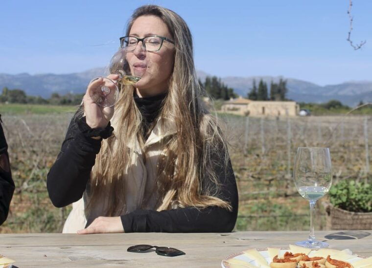 Alcúdia/Can Picafort: Guided Vineyard Visit and Wine Tasting - Winery Introduction