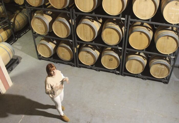 Alcúdia/Can Picafort: Guided Vineyard Visit and Wine Tasting - Wine Pairing and Purchasing