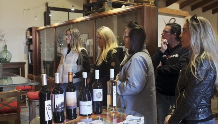 Alcúdia/Can Picafort: Guided Vineyard Visit and Wine Tasting - Good To Know