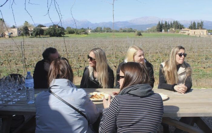 Alcúdia/Can Picafort: Guided Vineyard Visit and Wine Tasting - Frequently Asked Questions